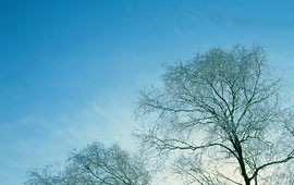 ip攻击器网页版ddos