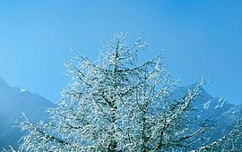 ddos攻击测试工具