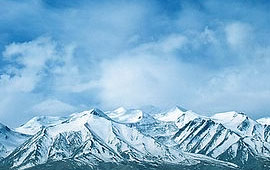 哪买不会被坑的ddos攻击器安卓ios下载