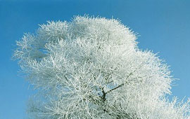 官方认证可信的小黑ddos压力测试平台